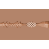 FLESHLIGHT GIRLS - AUTUMN FALLS CREAM TEXTURE VAGINA - Afbeelding 4