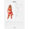 OBSESSIVE - BELOVYA GARTER PANTIES XS/S - Afbeelding 5