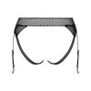 OBSESSIVE - LANELIA PANTIES GARTER BELT M/L - Afbeelding 4