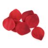EXTASE SENSUAL - RED TEMPTATION CHEST - Afbeelding 4