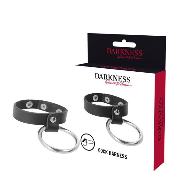 DARKNESS - METAL RING FOR THE PENIS AND TESTICLES - Afbeelding 2