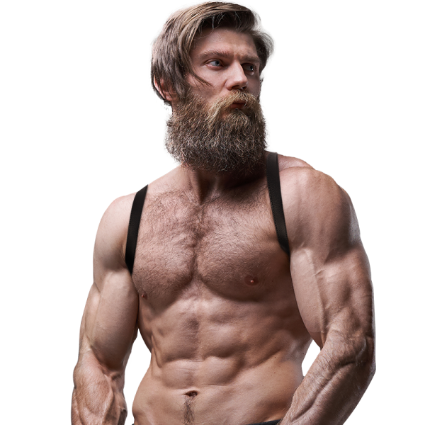 FETISH SUBMISSIVE ATTITUDE - MEN'S ECO-LEATHER BACK HARNESS - Afbeelding 4