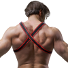 FETISH SUBMISSIVE ATTITUDE - MEN'S ECO-LEATHER CHEST BULLDOG HARNESS BLACK/RED - Afbeelding 2