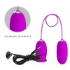 PRETTY LOVE - DAISY DUAL EGG RECHARGEABLE VIBRATOR PURPLE - Afbeelding 8