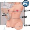 ARMONY - REALISTIC FEMALE TORSO MODEL 10 - Afbeelding 5