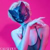 CALEXOTICS - EUPHORIA CAT MASK - Afbeelding 7