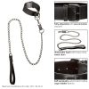 CALEXOTICS - EUPHORIA COLLAR WITH CHAIN LEASH - Afbeelding 8