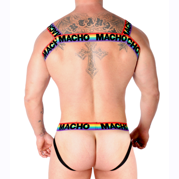 MACHO - DOUBLE HARNESS PRIDE LIMITED - Afbeelding 4