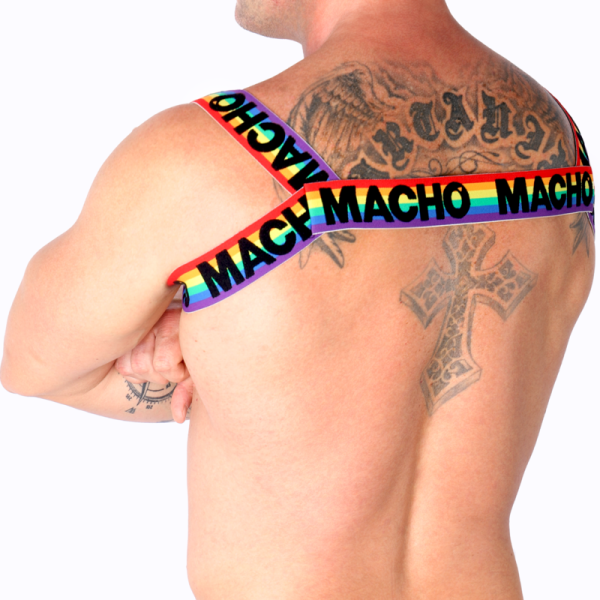 MACHO - DOUBLE HARNESS PRIDE LIMITED - Afbeelding 7