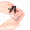 KINK - FLAT CHAIN NIPPLE CLAMPS SILVER 30 CM - Afbeelding 3