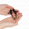 KINK - BELL JAW STYLE NIPPLE CLAMPS BLACK 7 CM - Afbeelding 3