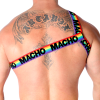 MACHO - ROMAN HARNESS PRIDE L/XL - Afbeelding 8