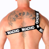 MACHO - ROMAN HARNESS WHITE S/M - Afbeelding 4