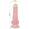 BAILE - SUPER REALISTIC NATURAL DILDO 16.5 CM - Afbeelding 2