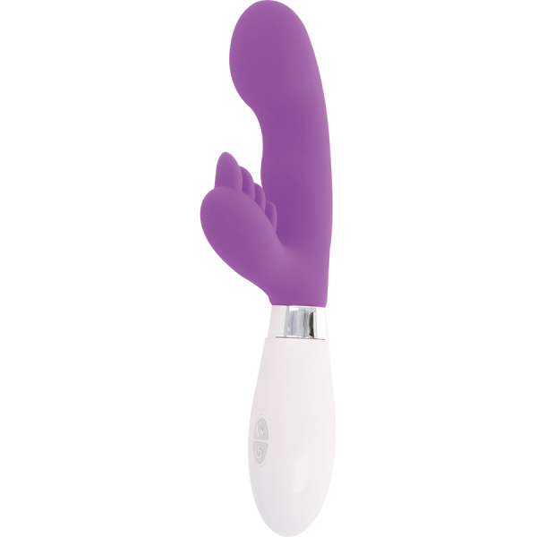 GLOSSY - RABBIT ELVIS PURPLE - Afbeelding 4