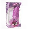 PINK ROOM - DAYAN REALISTIC DILDO PURPLE 17 CM - Afbeelding 2
