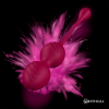 RITHUAL - NISHA RECHARGEABLE VIBRATING KEGEL BALLS ORCHID - Afbeelding 9