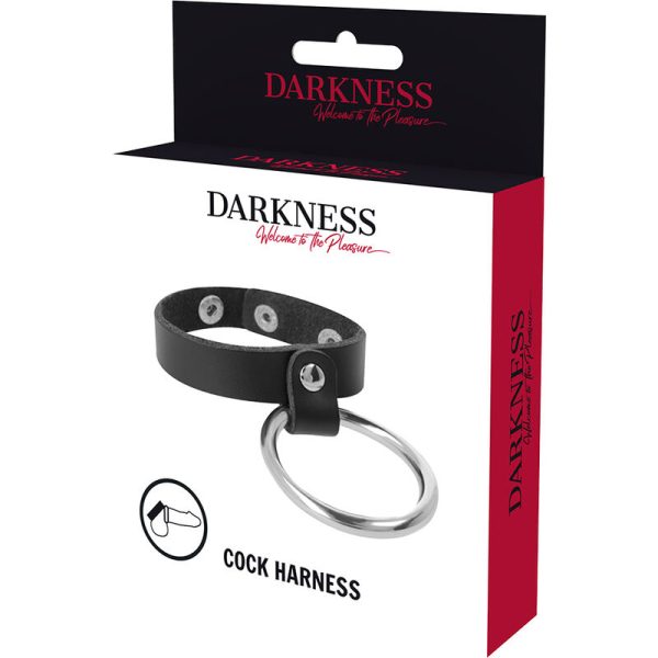 DARKNESS - METAL RING FOR THE PENIS AND TESTICLES - Afbeelding 5