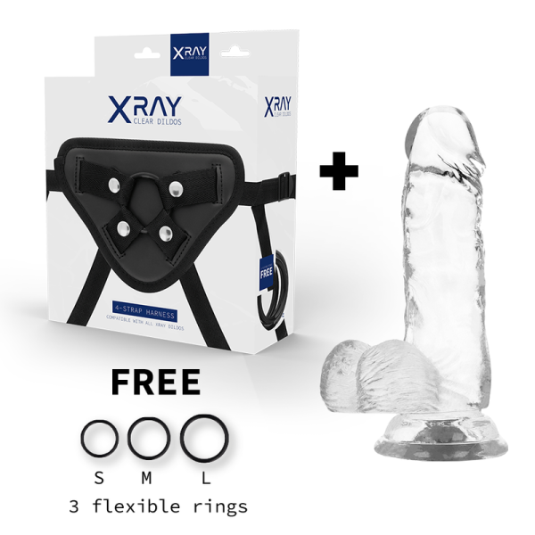 X RAY - HARNESS + CLEAR COCK WITH BALLS 15.5 CM -O- 3.5 CM - Afbeelding 2