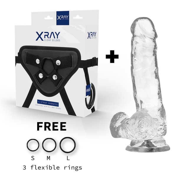 X RAY - HARNESS + CLEAR COCK WITH BALLS 18.5 CM -O- 3.8 CM - Afbeelding 2