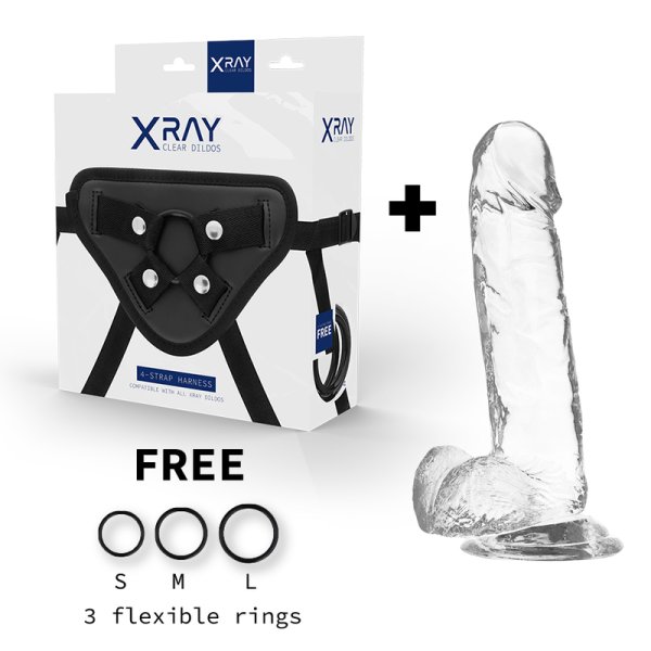 X RAY - HARNESS + CLEAR COCK WITH BALLS 20 CM -O- 4.5 CM - Afbeelding 2