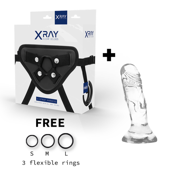 X RAY - HARNESS + CLEAR COCK 12 CM -O- 2.6 CM - Afbeelding 2