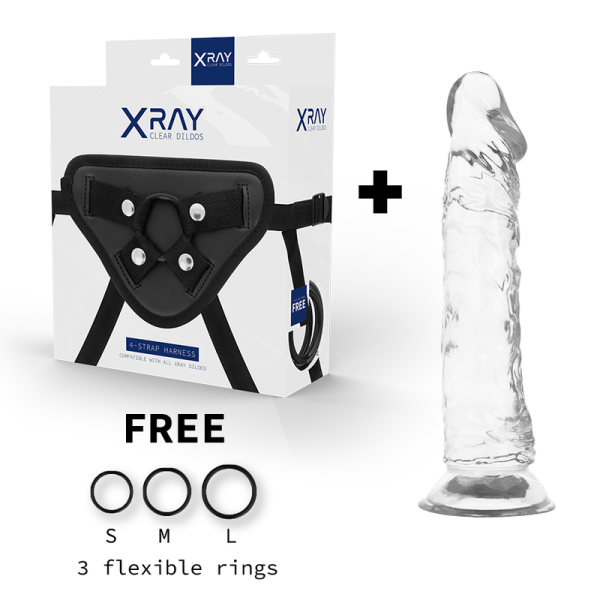 X RAY - HARNESS + CLEAR COCK 21 CM -O- 4 CM - Afbeelding 2